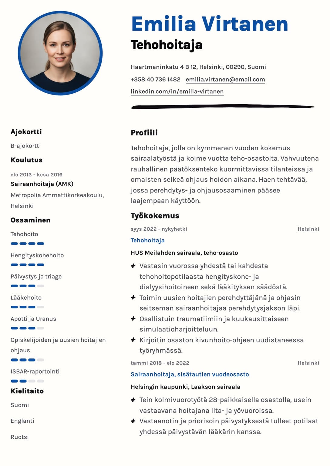 Ammattimaisen CV-pohjan esikatselu