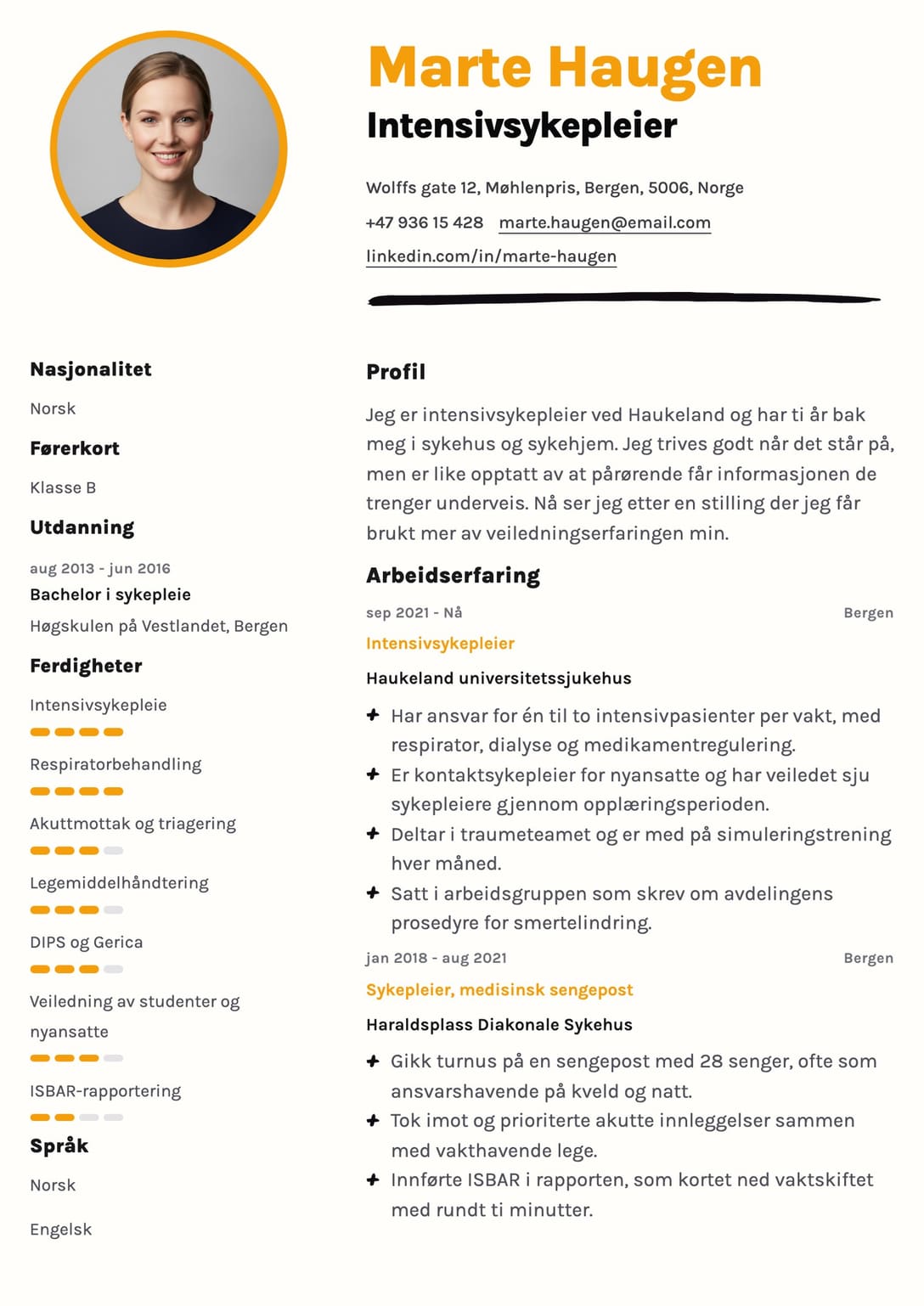 Forhåndsvisning av en profesjonell CV-mal